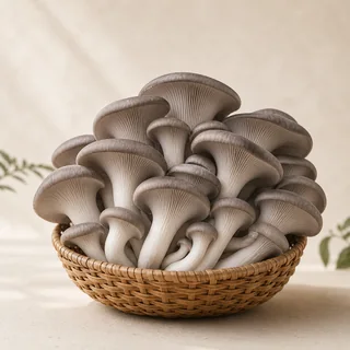 Nấm Bào Ngư Xám Tươi 500g
