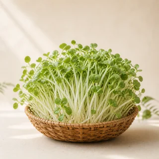 Rau Mầm Củ Cải Trắng 150g